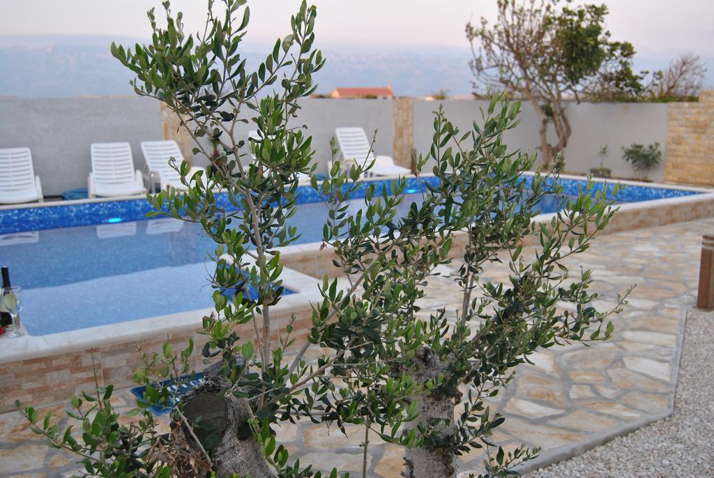 House With Swimming Pool Blue Diamond Lejlighed Povljana Eksteriør billede